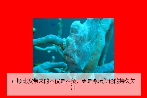 汪顺比赛带来的不仅是胜负，更是泳坛舆论的持久关注